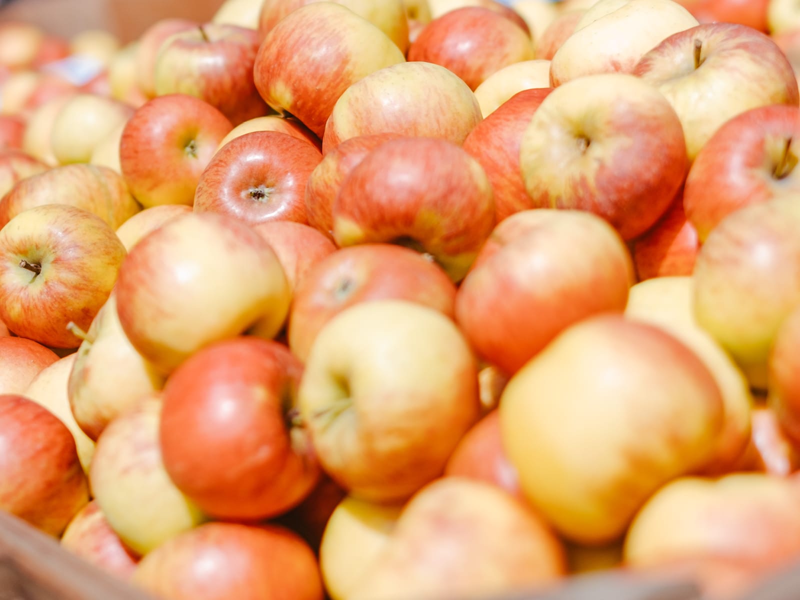 Heinen_Apfel_quer_800x600px-1