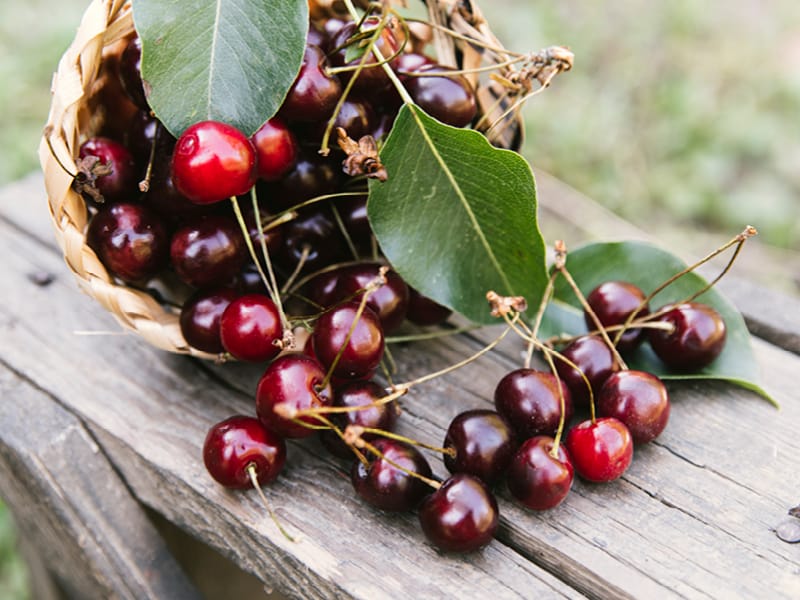 Heinen_Süßkirschen_quer_800x600px-3