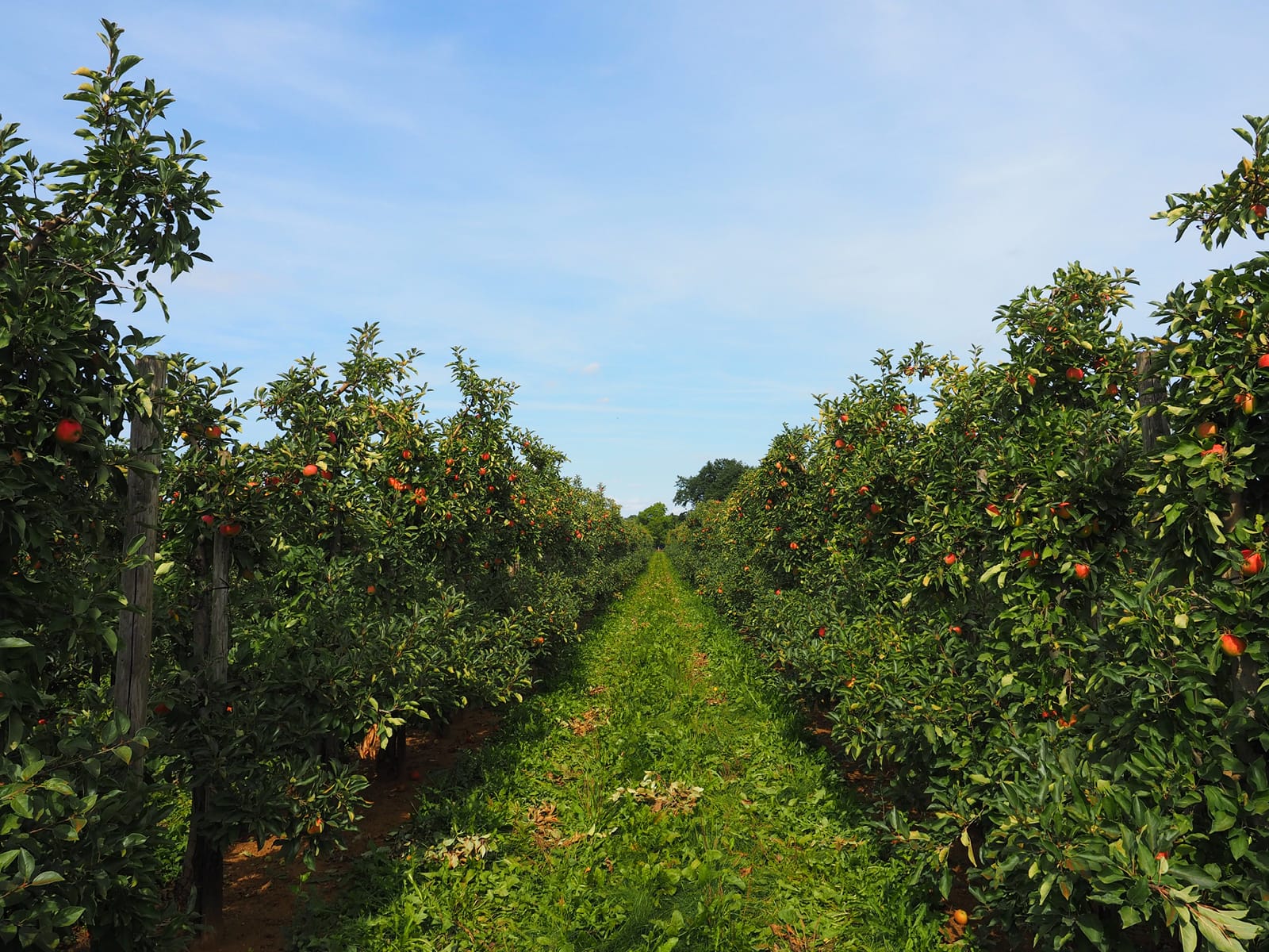 Heinen_Ueber-Uns_quer_800x600px-3